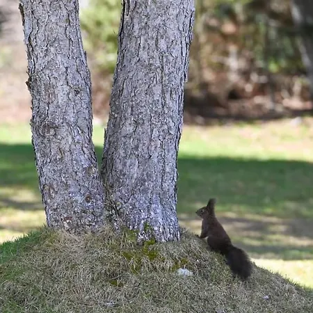 Terra Complex D5 - Private - Golf, Skiing & *