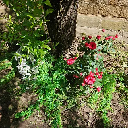 Terra Complex D5 - Private - Golf, Skiing & * رازلوغ