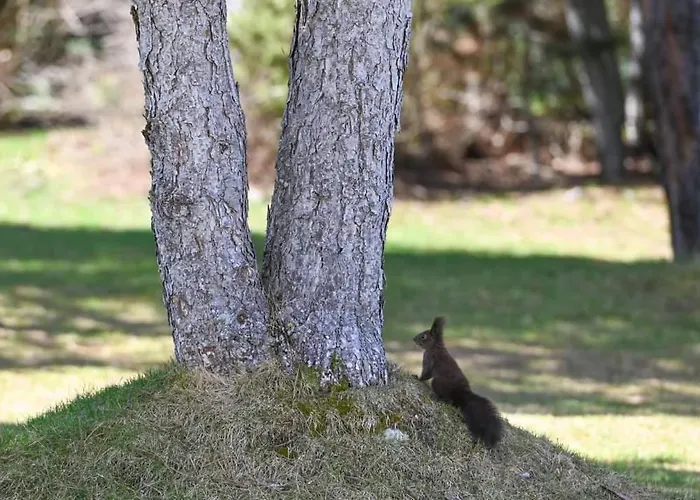 Terra Complex D5 - Private - Golf, Skiing & *