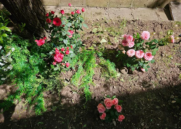 Terra Complex D5 - Private - Golf, Skiing & Разлог